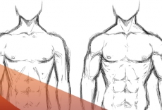 Bulking for Mesomorphs
